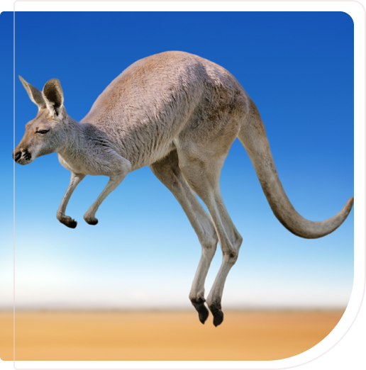 Australia PR Visa